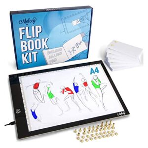 DigiCel FlipBook Key Pro