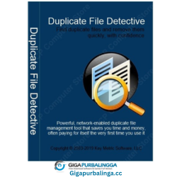 Duplicate File Detective Produs