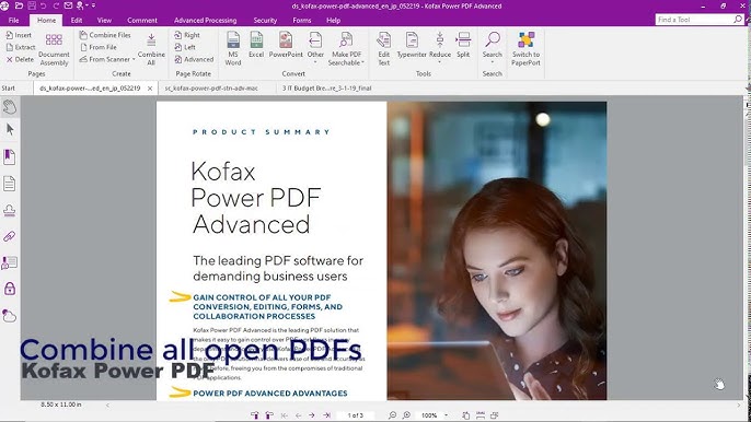 Nuance Power PDF Produs