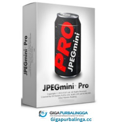 JPEGmini Crack Produs